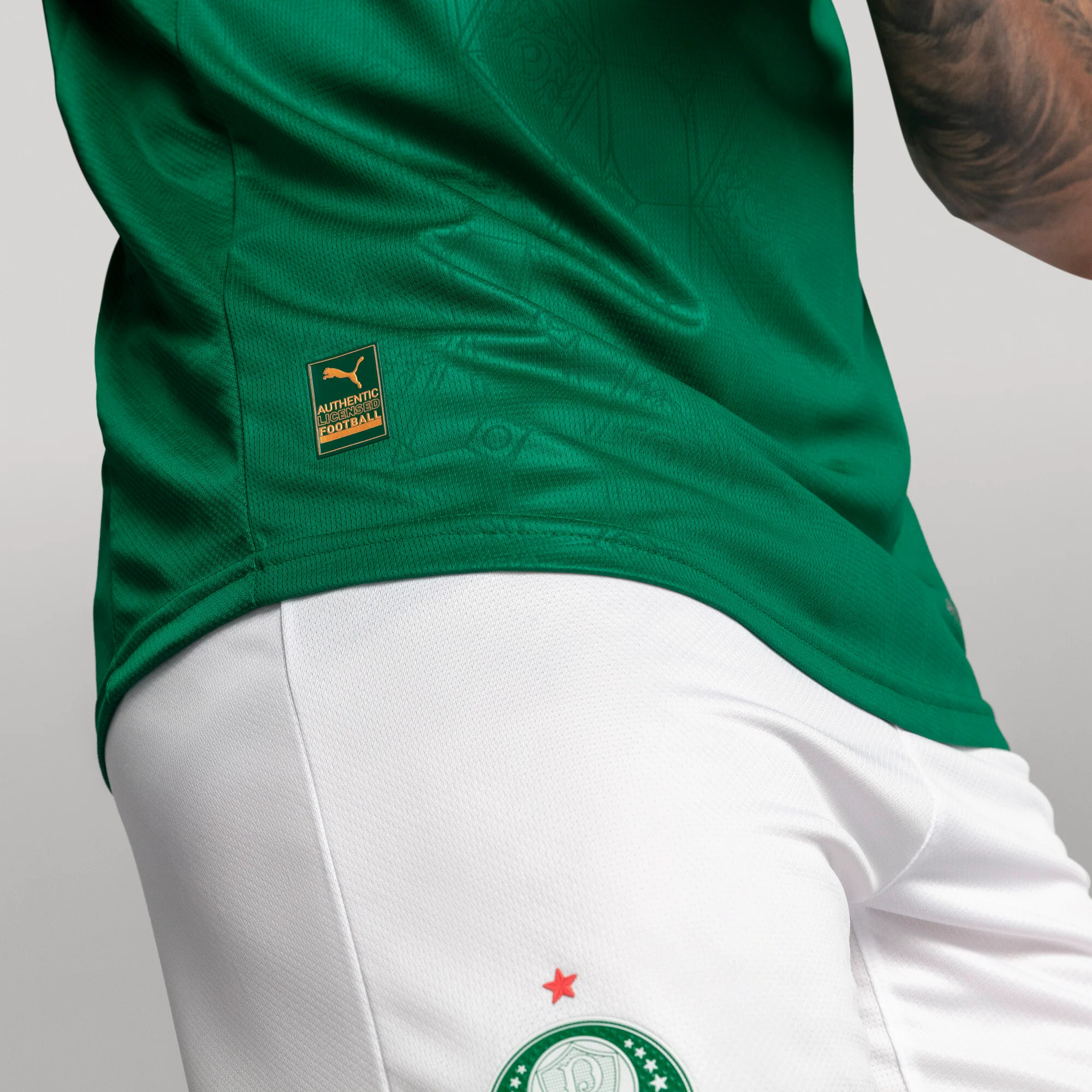 Palmeiras 2025-26 Home Jogador Jersey - Image 6